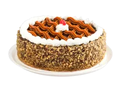Torta Choco Nuez