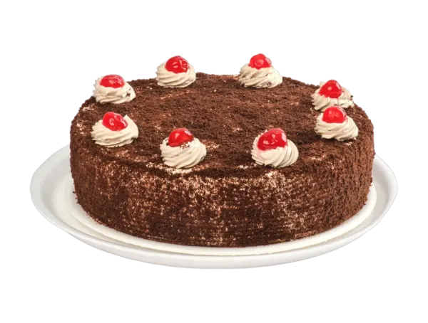 Torta Tierra de Cacao