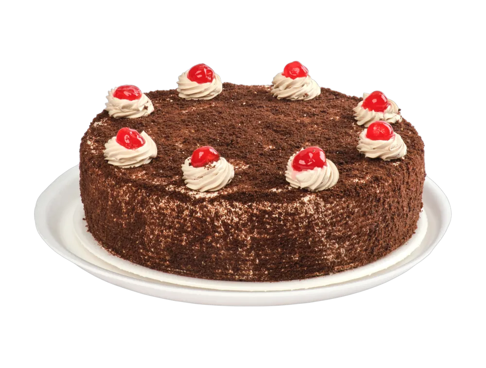 Torta Tierra de Cacao
